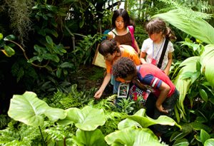 Image of Children Learning 